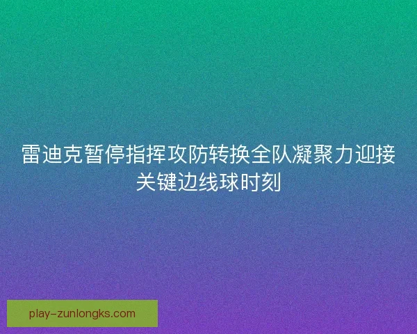 雷迪克暂停指挥攻防转换全队凝聚力迎接关键边线球时刻 雷迪克暂停指挥攻防转换全队凝聚力迎接关键边线球时刻