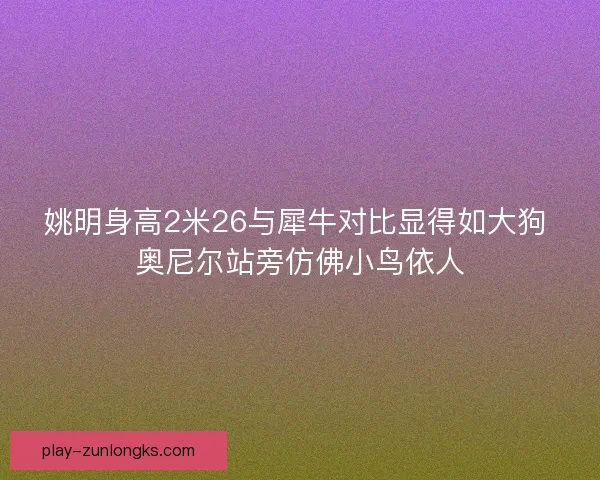 姚明身高2米26与犀牛对比显得如大狗 奥尼尔站旁仿佛小鸟依人 姚明身高2米26与犀牛对比显得如大狗 奥尼尔站旁仿佛小鸟依人