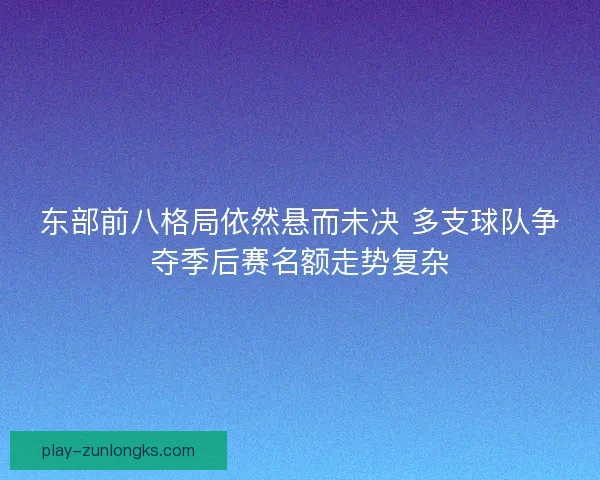 东部前八格局依然悬而未决 多支球队争夺季后赛名额走势复杂