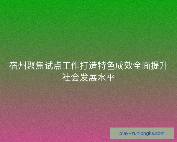 宿州聚焦试点工作打造特色成效全面提升社会发展水平